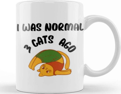 Funny Cat Lover Gifts For Men Kids Kupa Bardak Porselen