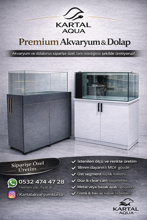 40x40x70 Akvaryum Mobilyası