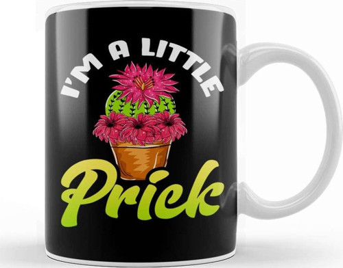 Funny I M A Little Prick Cactus Succulents Pun Kupa Bardak Porselen