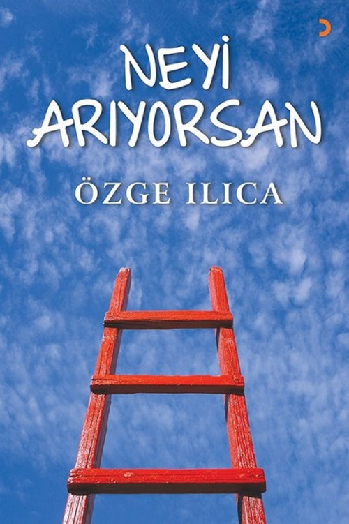 Neyi Arıyorsan
