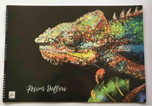 15 Yaprak 35x50 Spiralli Resim Defteri