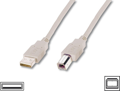 USB 2.0 Bağlantı Kablosu, USB A Erkek - USB B Erkek, 3 metre, AWG 28, UL, bej renk