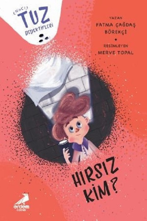 Hırsız Kim?-Tuz Dedektifleri