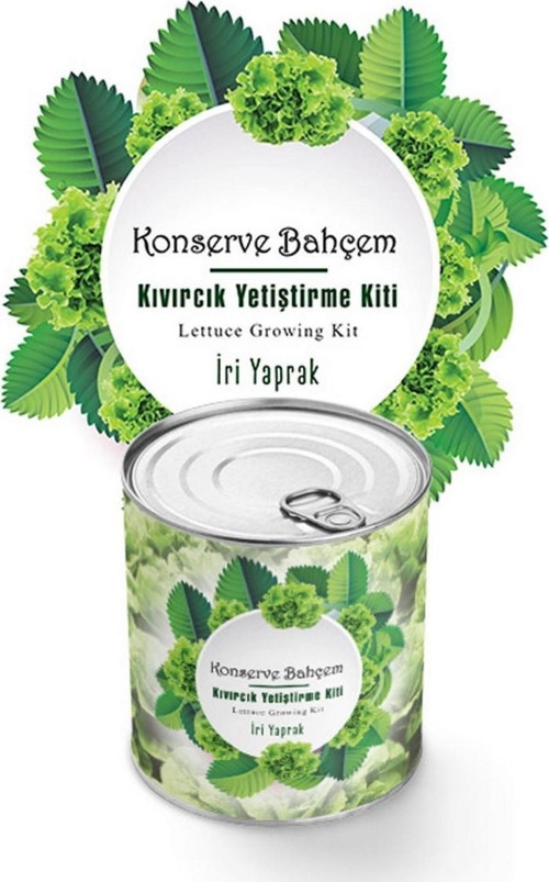 Konserve Bahçem Evde Konservede İri Yapraklı Kıvırcık Yetiştirme Kiti