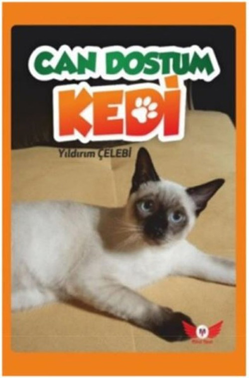 Can Dostum Kedi