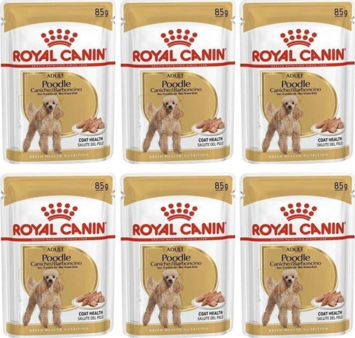 Adult Poodle Caniche Tüy Sagligi Destekleyici Yetiskin Köpek Konservesi 85gr 6 Adet