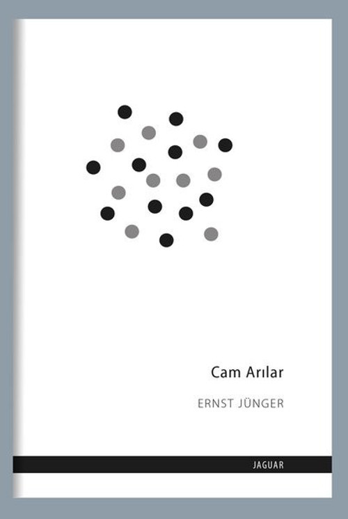 Jaguar Kitap Cam Arılar