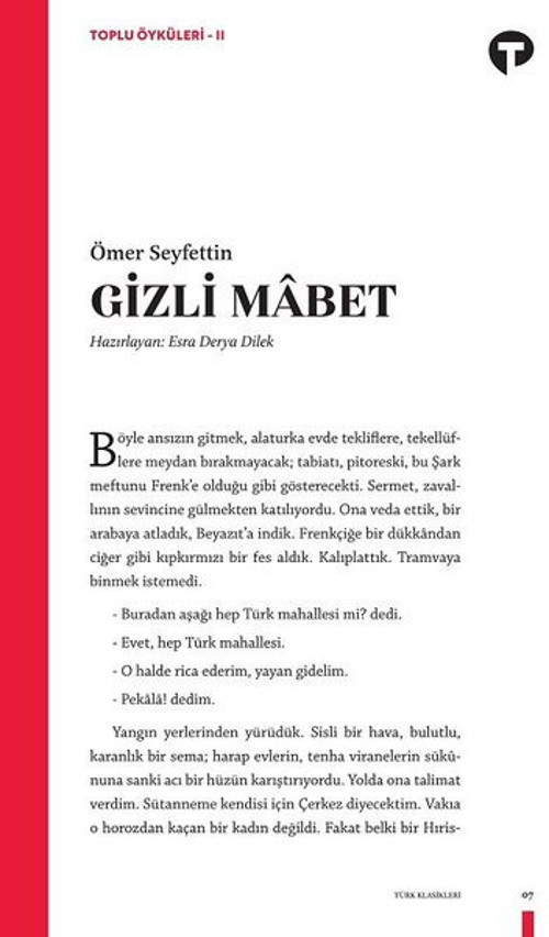 Turkuvaz Kitap Gizli Mabet