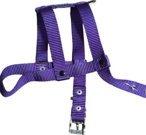 Lovely Ayarlanır Köpek Göğüs Tasması 2cm 5-17 Kg Aralığındaki Köpeklere MOR