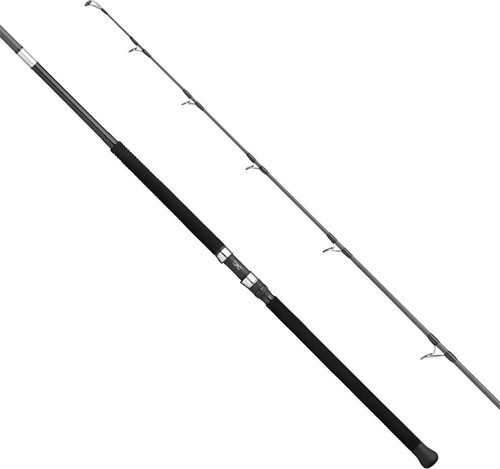 Apia Grandage Atlas C-Safari 100GT 3.05m Plug 140gr - Jig 160gr Shore Jig Kamış