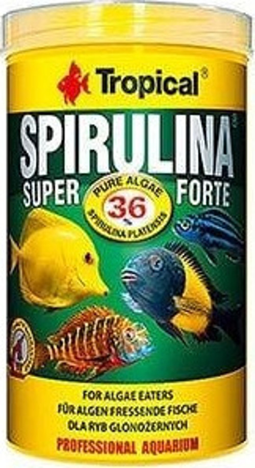 Spırulına Süper Forte Yoğun Spırulına İçerikli Balık Yemi 250 Ml 50 Gr