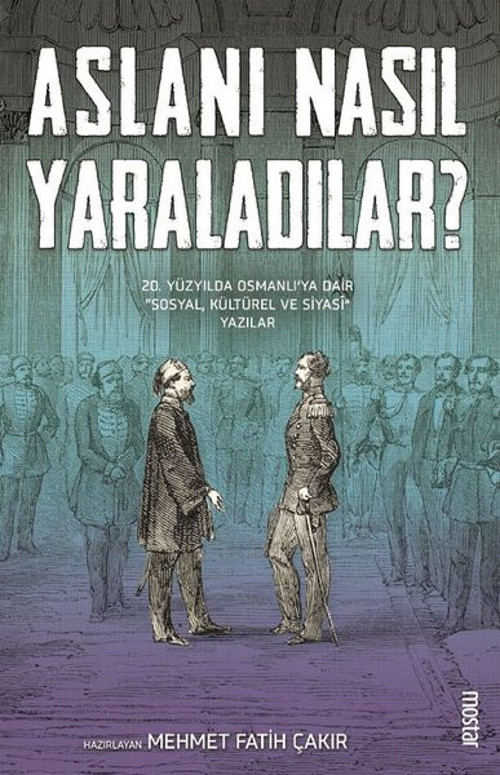 Aslanı Nasıl Yaraladılar?