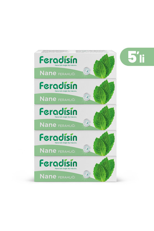 Gimdes Helal Sertifikalı Nane Ferahlığı Diş Macunu 5 li Set