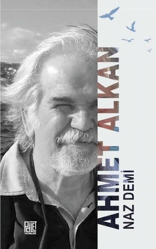 Palet Yayınları Naz Demi