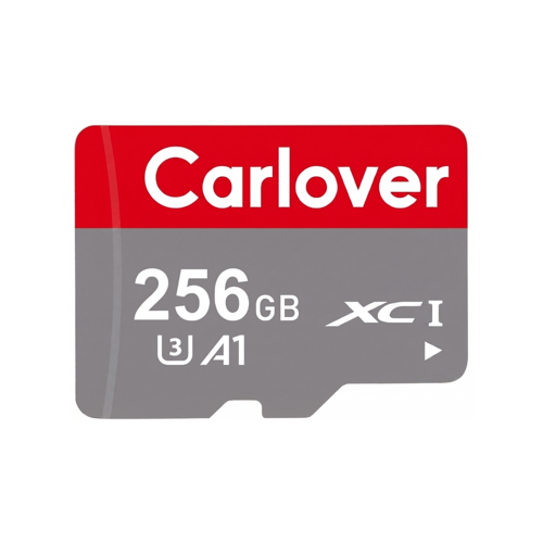 256 GB Hafıza Kartı