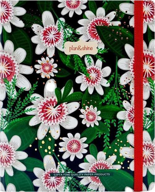 Plan Shıne Spiralli Sert Kapak Defter A5-120Yp. 5822 YEŞİL-BEYAZ