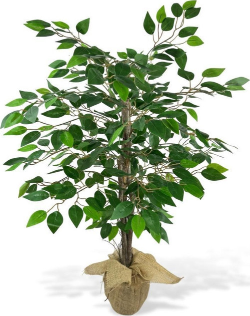 Yapay Ağaç Benjamin 3 Gövdeli Çalılı 100x60 cm Keten Sarılı Siyah Plastik Saksılı