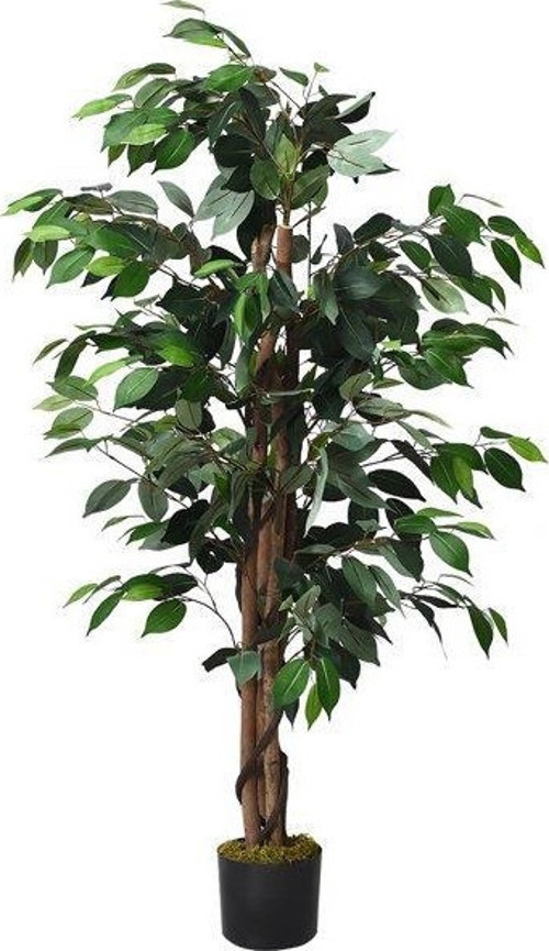 Yapay Ağaç Benjamin 2 Gövdeli Çalılı 120x70cm Siyah Plastik Saksılı
