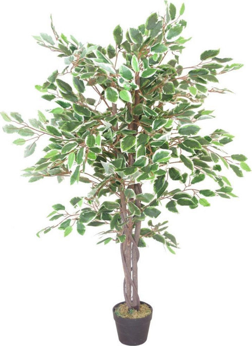 Yapay Ağaç Benjamin Yeşilbeyaz 2 Gövdeli Çalılı 120x70cm Siyah Plastik Saksılı