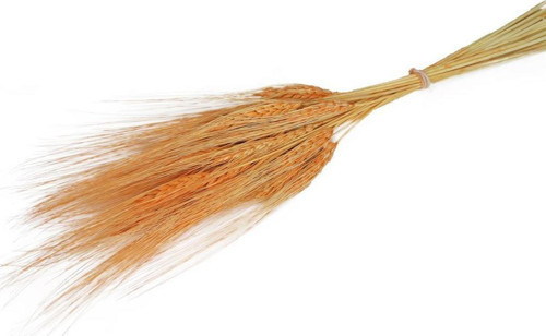 Kuru Çiçek Doğal Turuncu Başak 35gram 1. Kalite Şoklanmış Bozulmaz