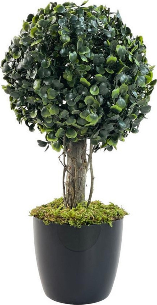 Yapay Ağaç Şimşir Top Tek Toplu 18x35cm Siyah Saksılı