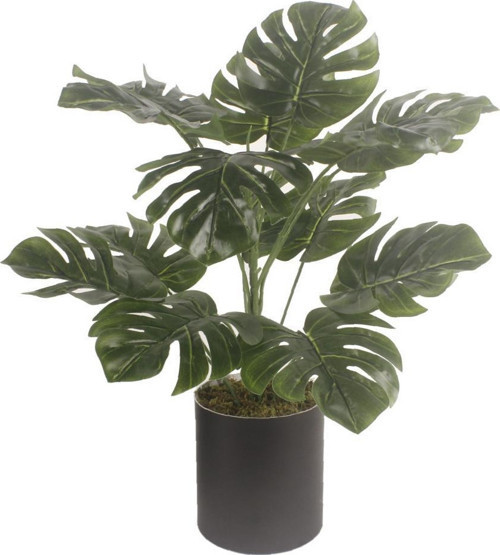 Yapay Çiçek Monstera Deve Tabanı Siyah Saksılı Salon Çiçeği 15 Yaprak