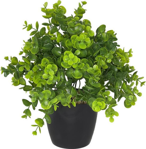 Yapay Çiçek Şimşir Eucalyptus Yapay Bitki Siyah Plastik Saksılı Dekoratif Süs Çiçeği
