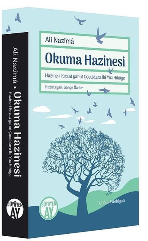 Büyüyenay Yayınları Okuma Hazinesi