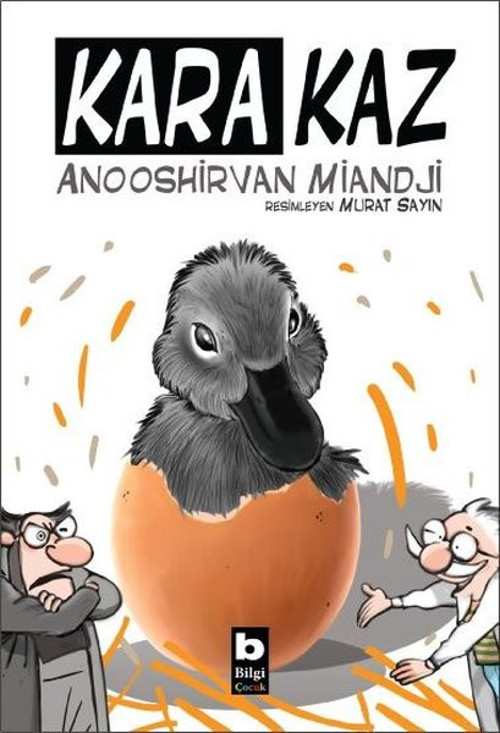 Bilgi Yayınevi Kara Kaz