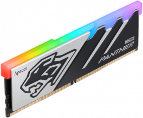 Panther RGB 16GB (1x16GB) 6400MHz CL32 DDR5 Gaming Ram (AH5U16G64C5529BAA-1)