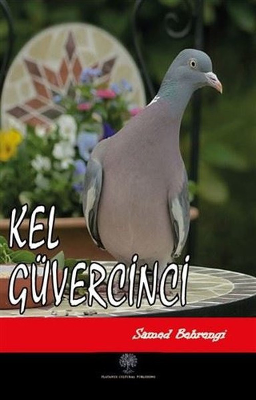 Platanus Publishing Kel Güvercinci