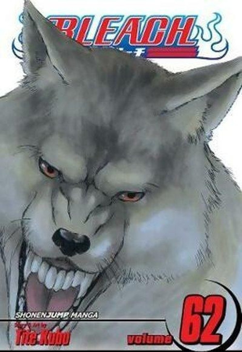 Bleach, Vol. 62 (Bleach)