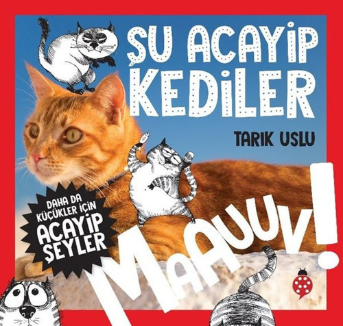 Daha da Küçükler İçin Acayip Şeyler - Şu Acayip Kediler