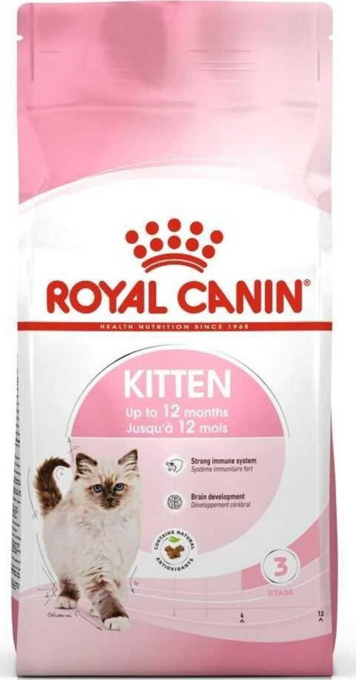 Kitten 2 KG Yavru Kedi Kuru Mama