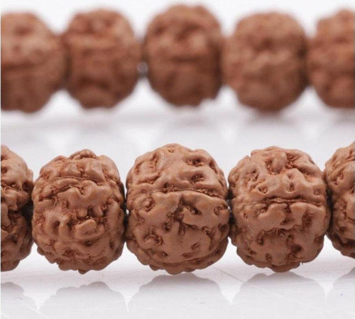 6 x 7 MM Rondel Kesim Rudraksha Tohumu Bileklik