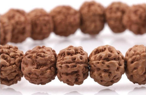 Rudraksha Tohumu Bileklik 6 X 8 Mm Rondel Kesim