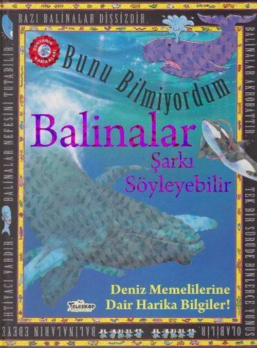Bunu Bilmiyordum Balinalar Şarkı Söyleyebilir Deniz Memelilerine Dair Harika Bilgiler