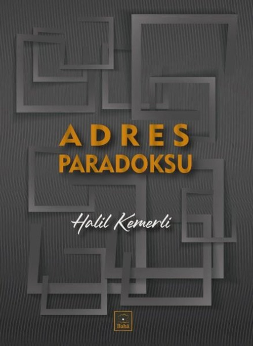 Adres Paradoksu