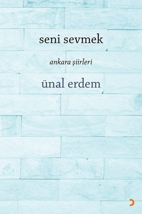 Seni Sevmek - Ankara Şiirleri