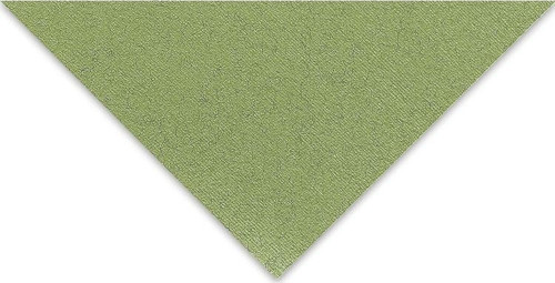 Tiziano Çok Amaçlı Kağıt 160 gr. 50x65 cm 10'lu Paket YOSUN - MUSCHIO