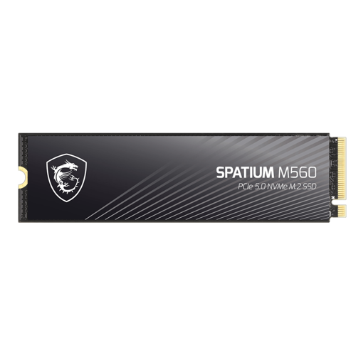 1TB SPATIUM M560 Gen5 M.2 2280 SSD 10200MB Okuma / 8400MB Yazma