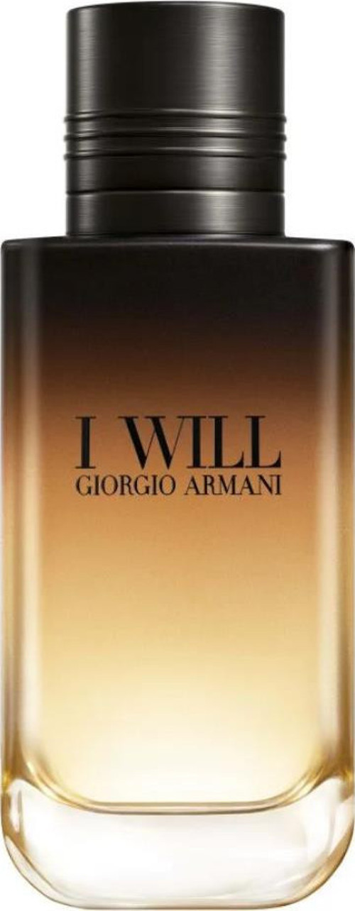 I Will EDP 100 ml Erkek Parfümü