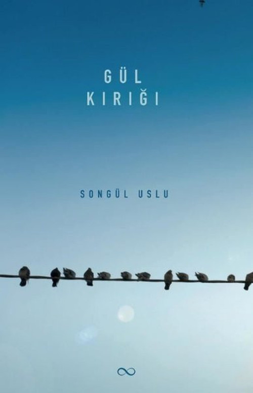 Bengisu Yayınları Gül Kırığı