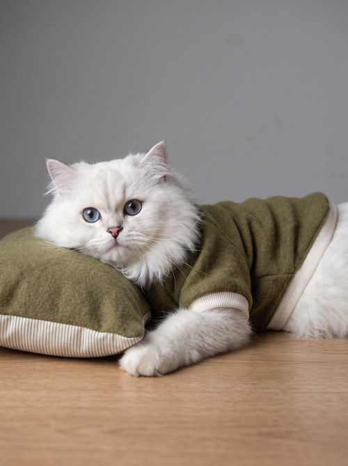 Natura Cozy Pati & Yastık | Nefti Yeşil Polar Kedi Sweatshirt ve Mini Yastık | 2 Parça