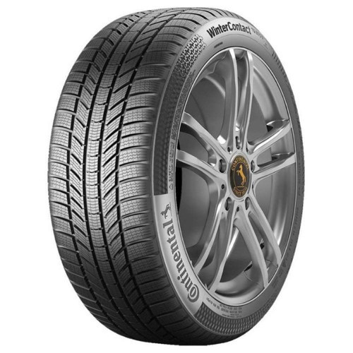 WinterContact TS 870 P 255/50R19 107V XL FR (Kış) (2026)