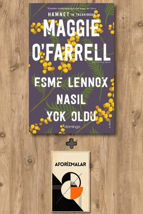 Esme Lennox Nasıl Yok Oldu + Aforizmalar - Maggie OFarrell