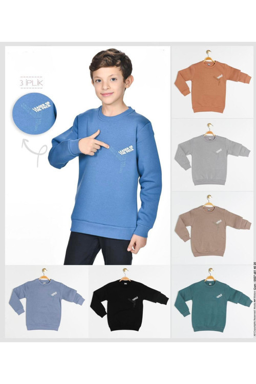 Erkek Çocuk Nakış Desenli Sweatshirt 3 İplik