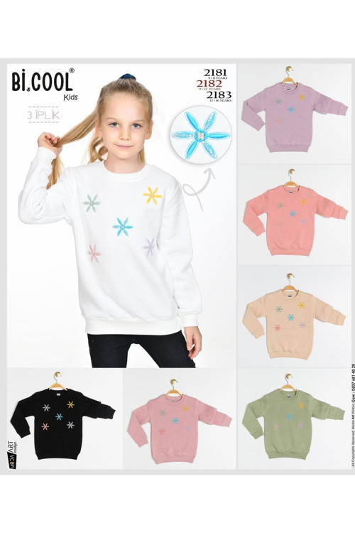 Kız Çocuk Nakış Desenli Sweatshirt 3 İplik