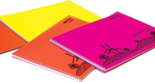 Mynote Flex Plastik Kapak Resim Defteri Blok 25X35 Cm 15 Yaprak RB15-2535