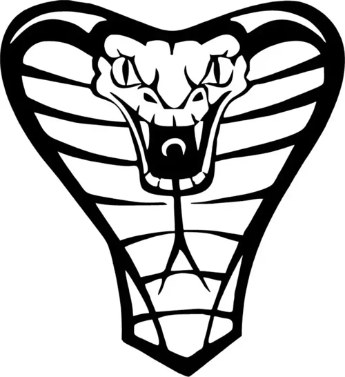 Cobra Yılanı Sticker (Oto-Motor-Laptop-Duvar-Dekor) 10 x 10 cm
